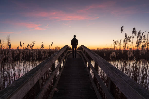 Looking at the sunset Man alone standing on a small bridge, looking at the sunset in a nature reserve. Drenthe, Holland. people on bridge stock pictures, royalty-free photos & images