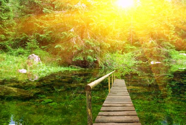 wooden pier on a lake