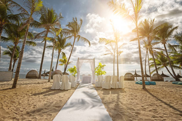 the way to the altar of your own wedding The island Mauritius is a popular destination to celebrate a romantic wedding under palm trees on the white beach. Mauritius, an island state in the Indian Ocean, is also known for its beaches, lagoons and reefs. chapel photos stock pictures, royalty-free photos & images