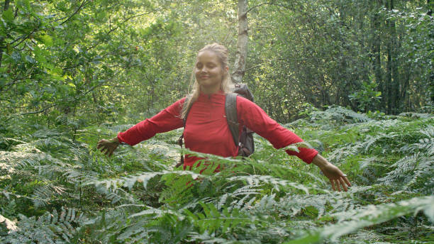 istock Woman exploring glade with ferns. Open arms 1130649118