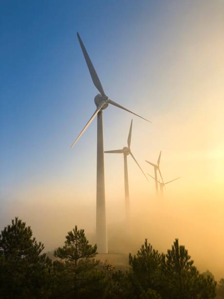 Wind farm at sunset. stock photo