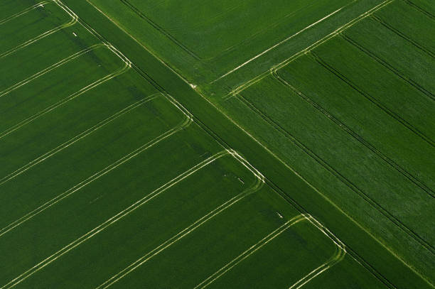 istock Aerial view of wheat fields 1130650039