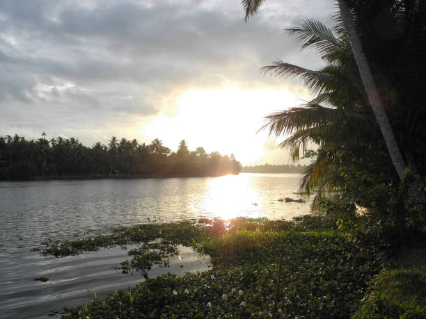 istock Sunset on backwater channels, Kerala, Kochi Region 1130650636