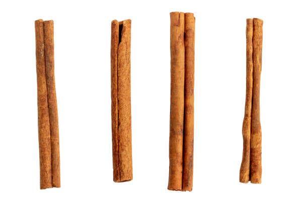 cinnamon sticks isolated on white. - cinnamon imagens e fotografias de stock