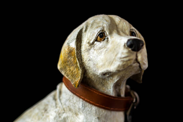 istock Portrait of a labrador dog 1130651657