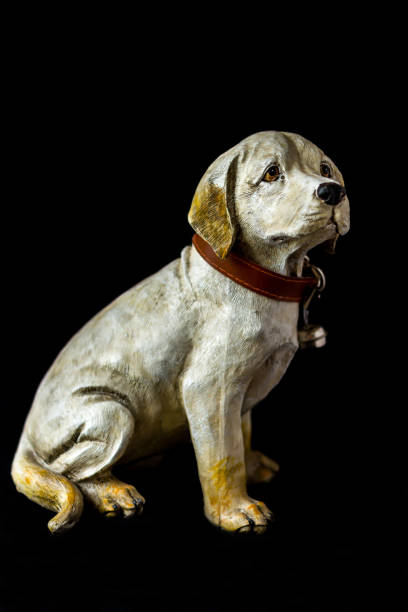 istock Portrait of a labrador dog 1130651714
