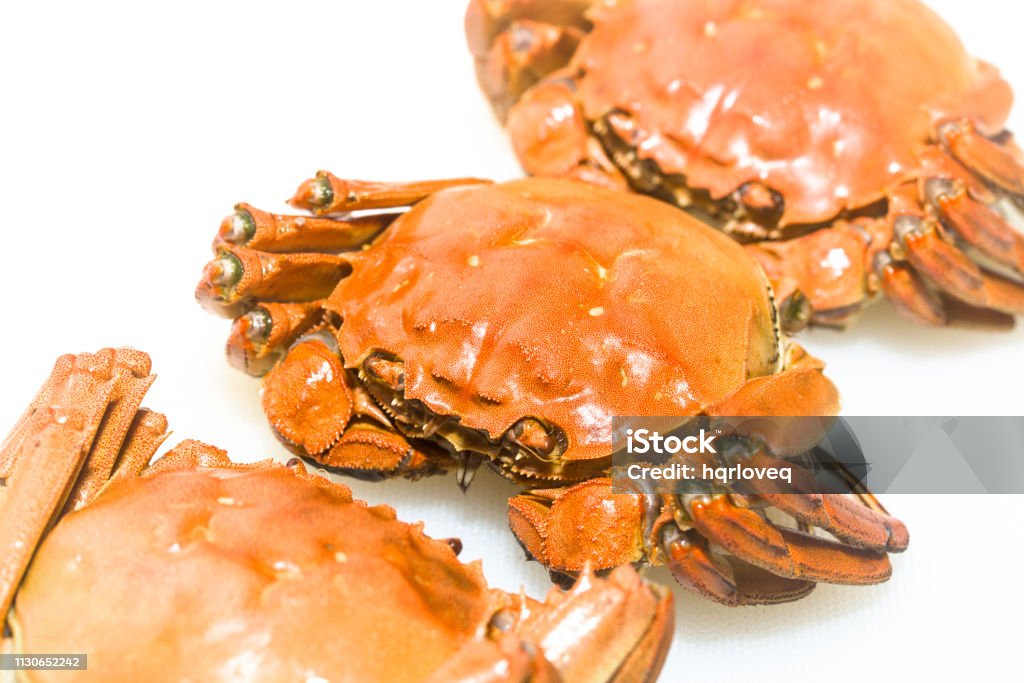 흰색 배경에 게 찐 증기 털이 게 0명에 대한 스톡 사진 및 기타 이미지 - 0명, Mid-Autumn Festival, 각도 ...