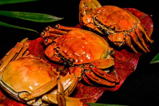 istock Steamed hairy crabs, steamed crabs. 1130653395