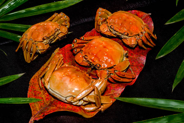istock Steamed hairy crabs, steamed crabs. 1130653475