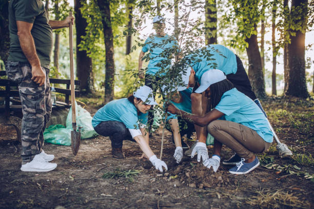 Volunteers planting a tree Multi-ethnic group of people, cleaning together in public park, saving the environment, disability man helping them. caregivers day stock pictures, royalty-free photos & images