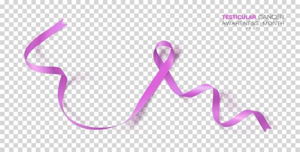 Testicular Cancer Awareness Month. Orchid Color Ribbon Isolated On Transparent Background. Vector Design Template For Poster. Testicular Cancer Awareness Month. Orchid Color Ribbon Isolated On Transparent Background. Vector Design Template For Poster. Illustration. phallic object stock illustrations