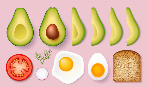 legen sie für das kochen von leckeren toast mit avocado. vektor-illustration isoliert auf weißem hintergrund. - dill fennel isolated herb stock-grafiken, -clipart, -cartoons und -symbole