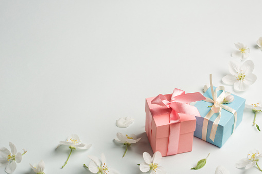 two gifts surrounded by Apple white flowers. blue and pink presents. pretty background.
