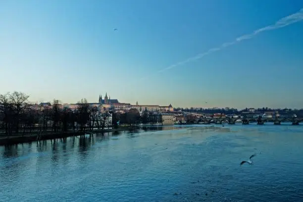 View to Prague Castle and blue hour in Prague