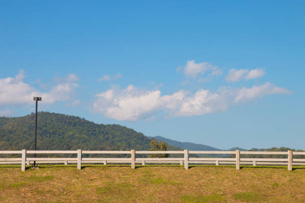 wood fence with grass and blue sky
