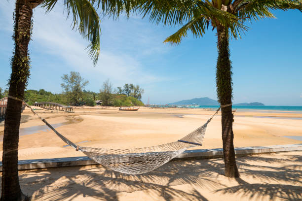 istock beach cradle with blue sea background for summer vacation 1130662630