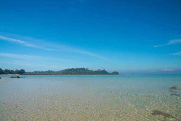 istock beautiful scene, tropical sea and beach with blue sky background 1130662784