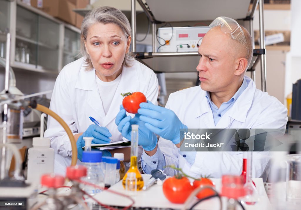 Scientists Comparing Notes Scientists Taking Notes While Performing Experiments Stock Photo ...