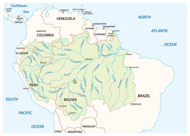 illustrations, cliparts, dessins animés et icônes de carte vectorielle du bassin de drainage du fleuve amazone - rainforest brazil amazon river amazon rainforest
