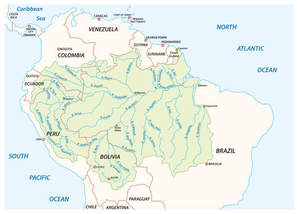 アマゾン川流域のベクトル地図 - para state illustrations点のイラスト素材／クリップアート素材／マンガ素材／アイコン素材