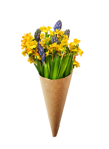 Hyacinth and narcissus flowers in a craft cornet isolated on white