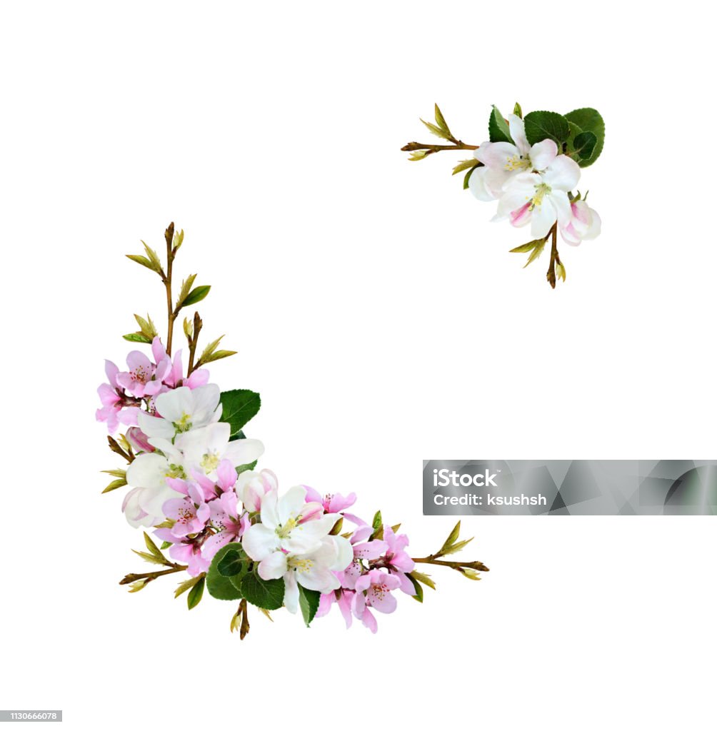 Góc Sắp Xếp Từ Cành Cây Khô Với Cành Đào Và Hoa Táo Mùa Xuân Hình ...