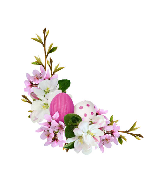 Corner arrangement with spring branches of peach and apple flowers  and Easter painted eggs isolated on white background