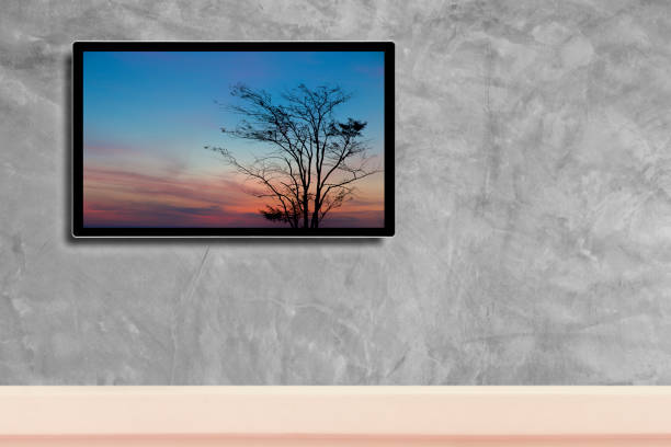 televisione a led, con silhouette di albero in hdtv su parete di cemento nella stanza - solar flat panel foto e immagini stock