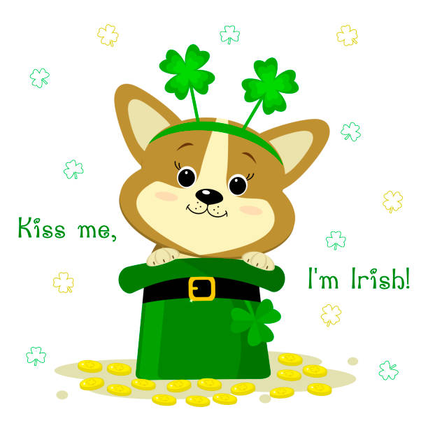 ilustraciones, imágenes clip art, dibujos animados e iconos de stock de día de san patricio s. un perro corgi lindo con un borde con el trébol, se sienta en un sombrero verde de una monedas de leprechaun, oro. estilo de dibujos animados, diseño plano. ilustración de vector - st patricks day dog irish culture leprechaun