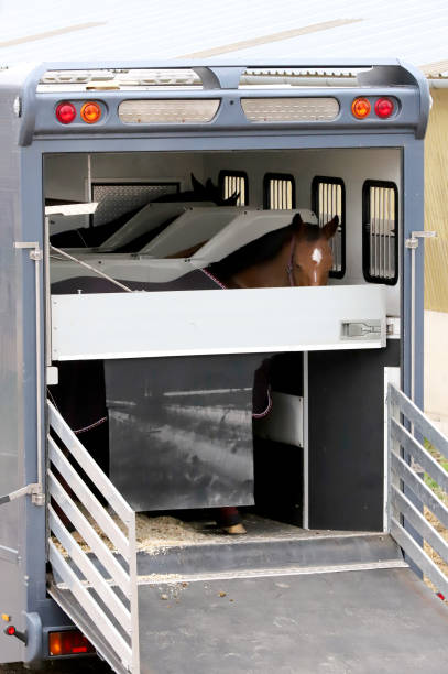 istock Horse trailer parked near racetrack 1130682905