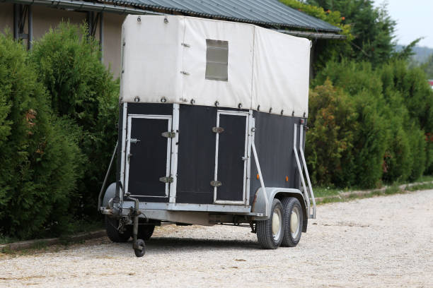 istock Trailer parking for horse transportation 1130682908