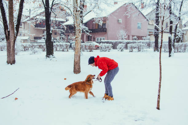 istock Friends in winter park 1130683109