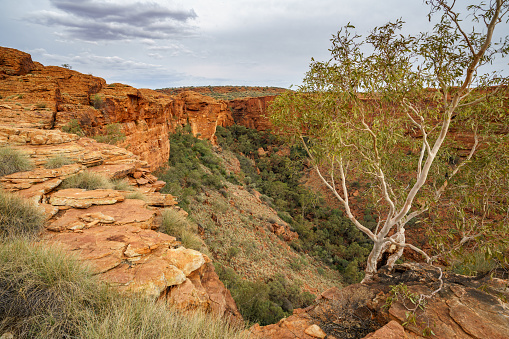 hiking on a cloudy day in the desert of kings canyon in watarrka national park, northern territory, australia