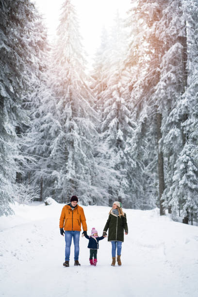 istock Family on winter vacation 1130683194