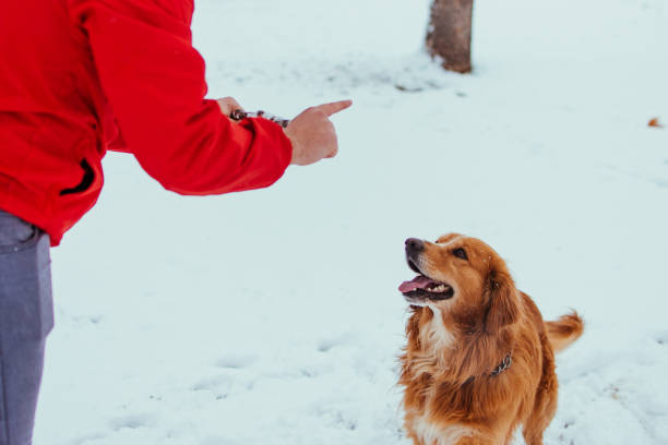 istock Friends in winter park 1130683352