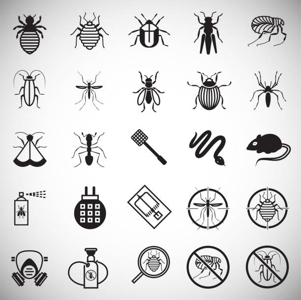 Pest icons set on white background for graphic and web design, Modern simple vector sign. Internet concept. Trendy symbol for website design web button or mobile app. Pest icons set on white background for graphic and web design, Modern simple vector sign. Internet concept. Trendy symbol for website design web button or mobile app black fly stock illustrations