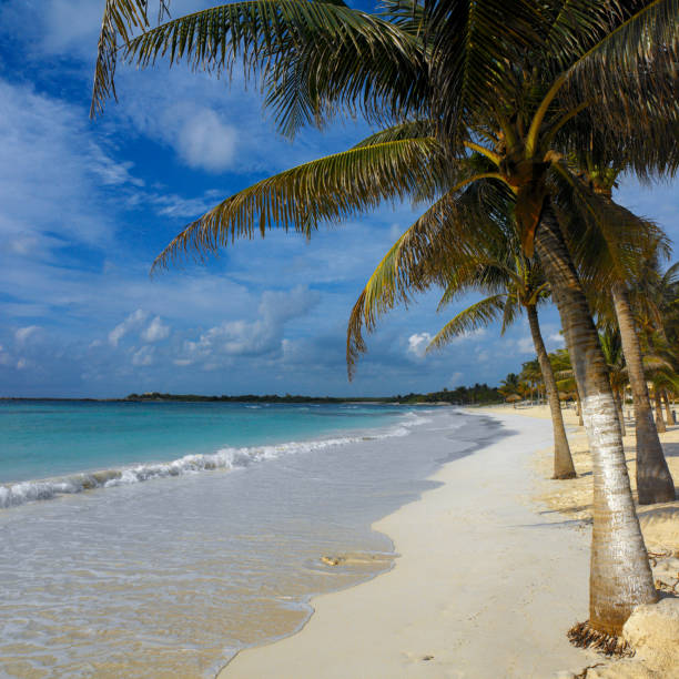 istock Cancun beach on the Yucatan Peninsula in Mexico. 1130684935