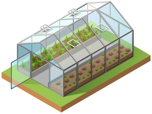 ilustraciones, imágenes clip art, dibujos animados e iconos de stock de icono 3d isométrico de efecto invernadero. crecimiento de plántulas en invernadero - greenhouse