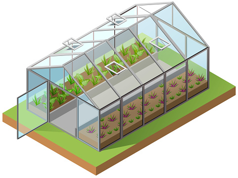 Greenhouse isometric 3d icon. Growing seedlings in glasshouse. Isolated on white vector illustration