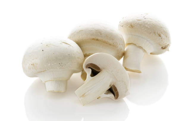 istock White champignon mushrooms on a white background 1130688641