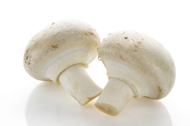 istock White champignon mushrooms on a white background 1130688725
