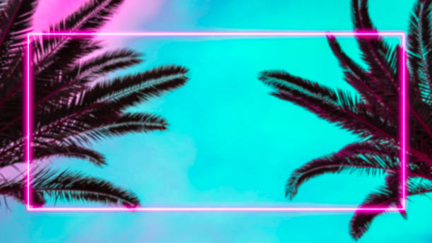 Photo of Palm trees and pink neon light frame.