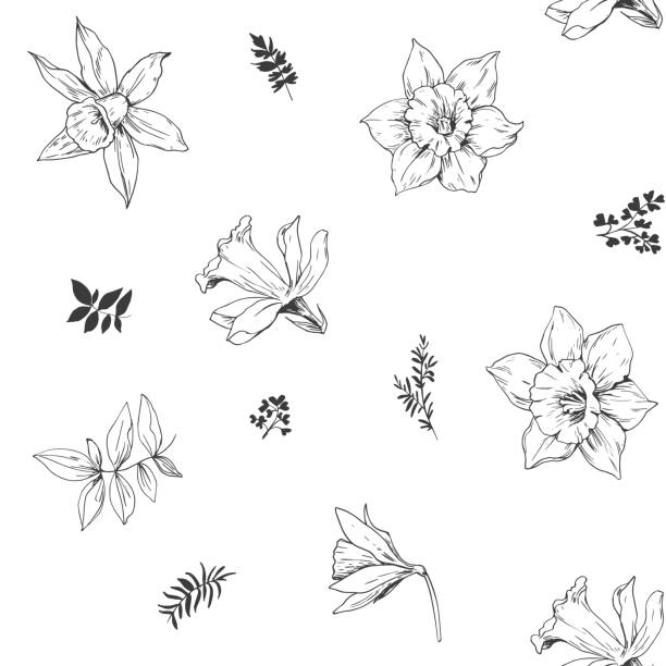 illustrations, cliparts, dessins animés et icônes de modèle sans couture avec des fleurs de jonquilles. vector - daffodil bouquet isolated on white petal