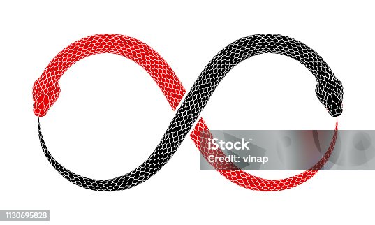 istock Vector Ouroboros sign tattoo design with two intertwined snakes eating their tails. 1130695828