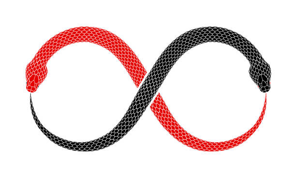Vector Ouroboros sign tattoo design with two intertwined snakes eating their tails. Vector illustration of two snakes intertwined in shape of Ouroboros sign are eating their tails. Tattoo design with red and black serpents isolated on a white background. alchemy stock illustrations