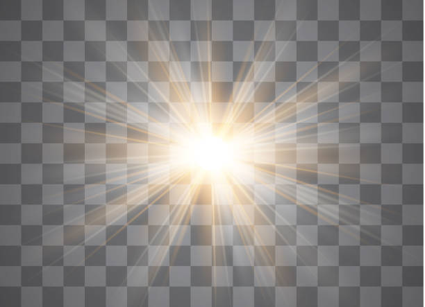 ilustraciones, imágenes clip art, dibujos animados e iconos de stock de vector transparente sol lentes especiales flare efecto de luz. - isolated background objects