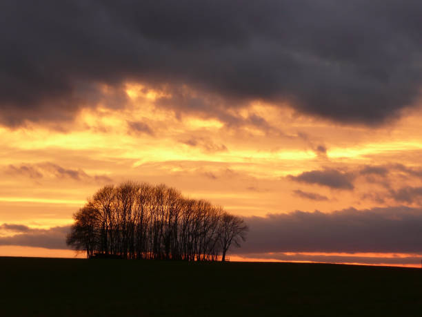 istock Sunset over the woods on the hill 1130699718