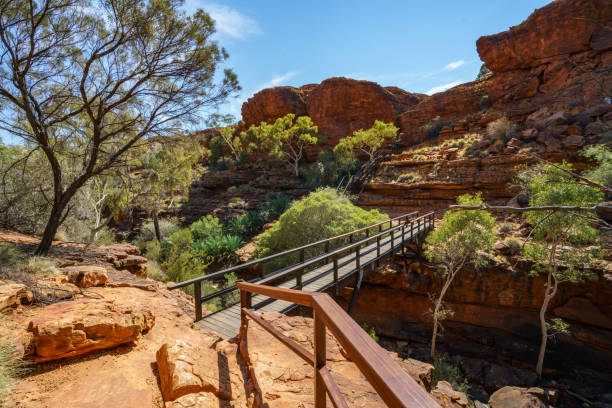 randonnée sur le pont dans kings canyon, parc national de watarrka, territoire du nord, australie 17 - australia nature kings canyon northern territory photos et images de collection