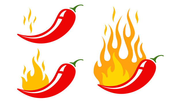 hot chilli pepper Mild, medium and hot chilli pepper. Vector emblems jalapeno or chilli peppers. Chili pepper. chilli pepper stock illustrations