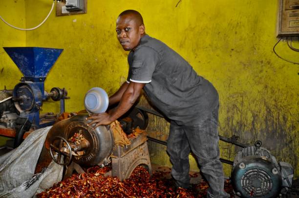 istock Side View Of Man Grinding Dried Chilies At Mill 1130708590